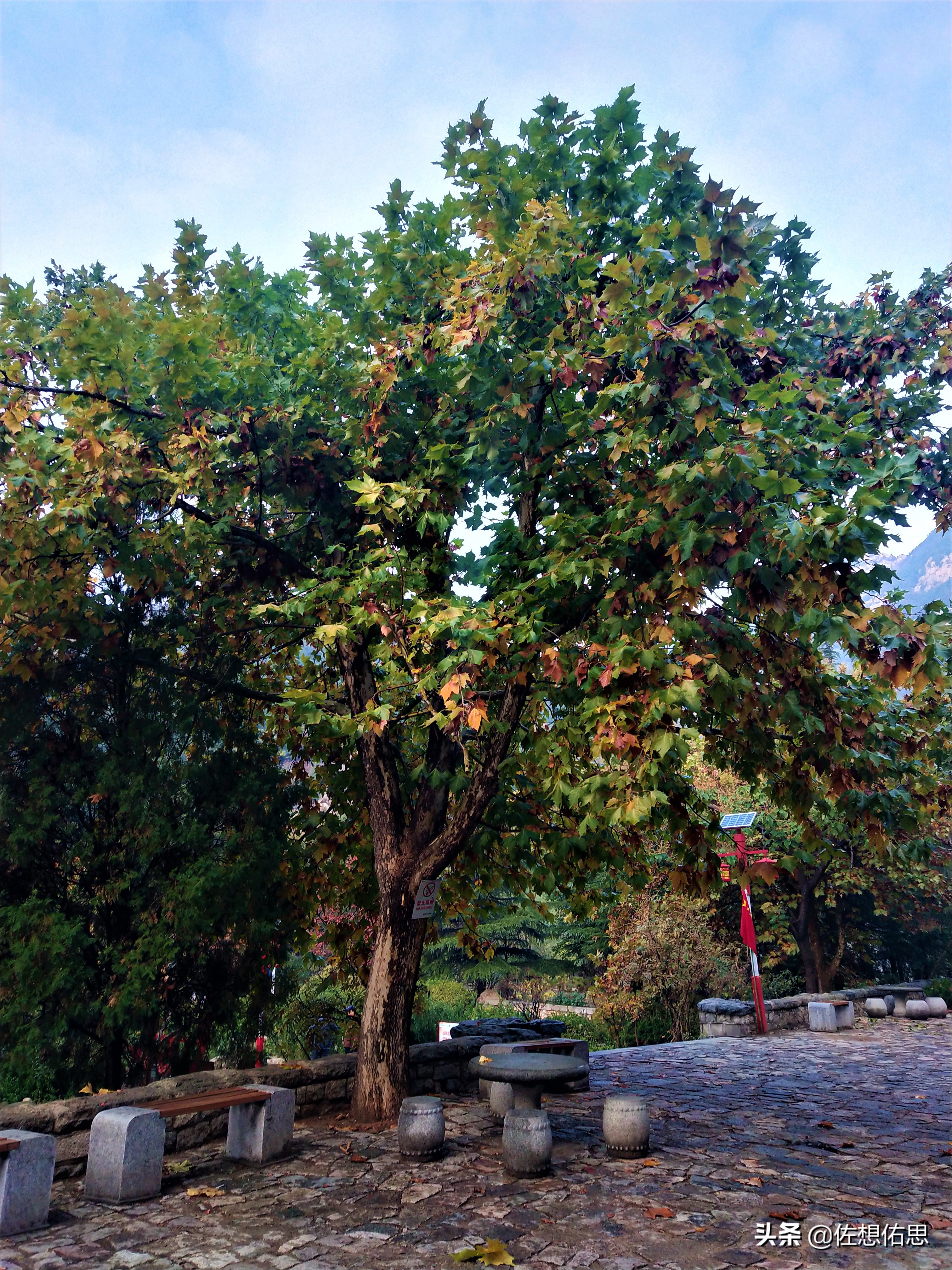 扇子崖优惠,泰安扇子崖免门票吗