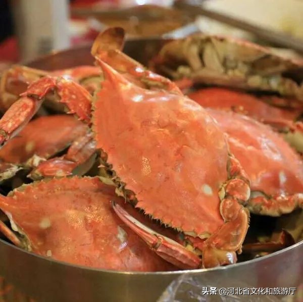 留在秦皇岛,秦皇岛为什么那么多人