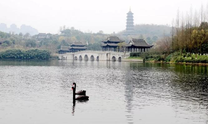 重庆春日踏青哪里好玩,重庆游玩攻略春天赏花