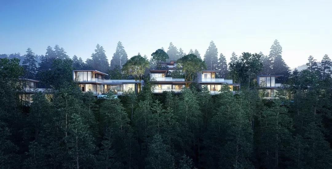 绿城桃花源的特点,绿城桃花源未来山