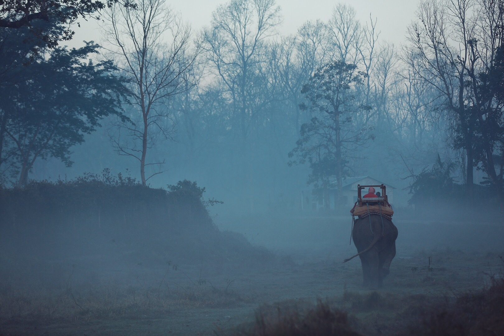 漫游超人免费观看,漫游超人通关视频