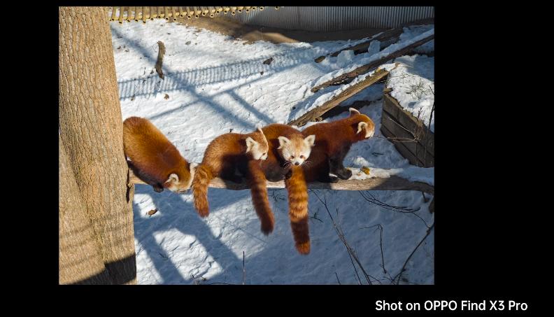 拍照全靠技术,摄影师后期必备基础