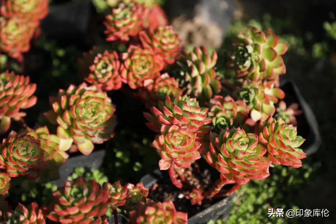 80后创业致富小伙,80后农村小伙创业历程