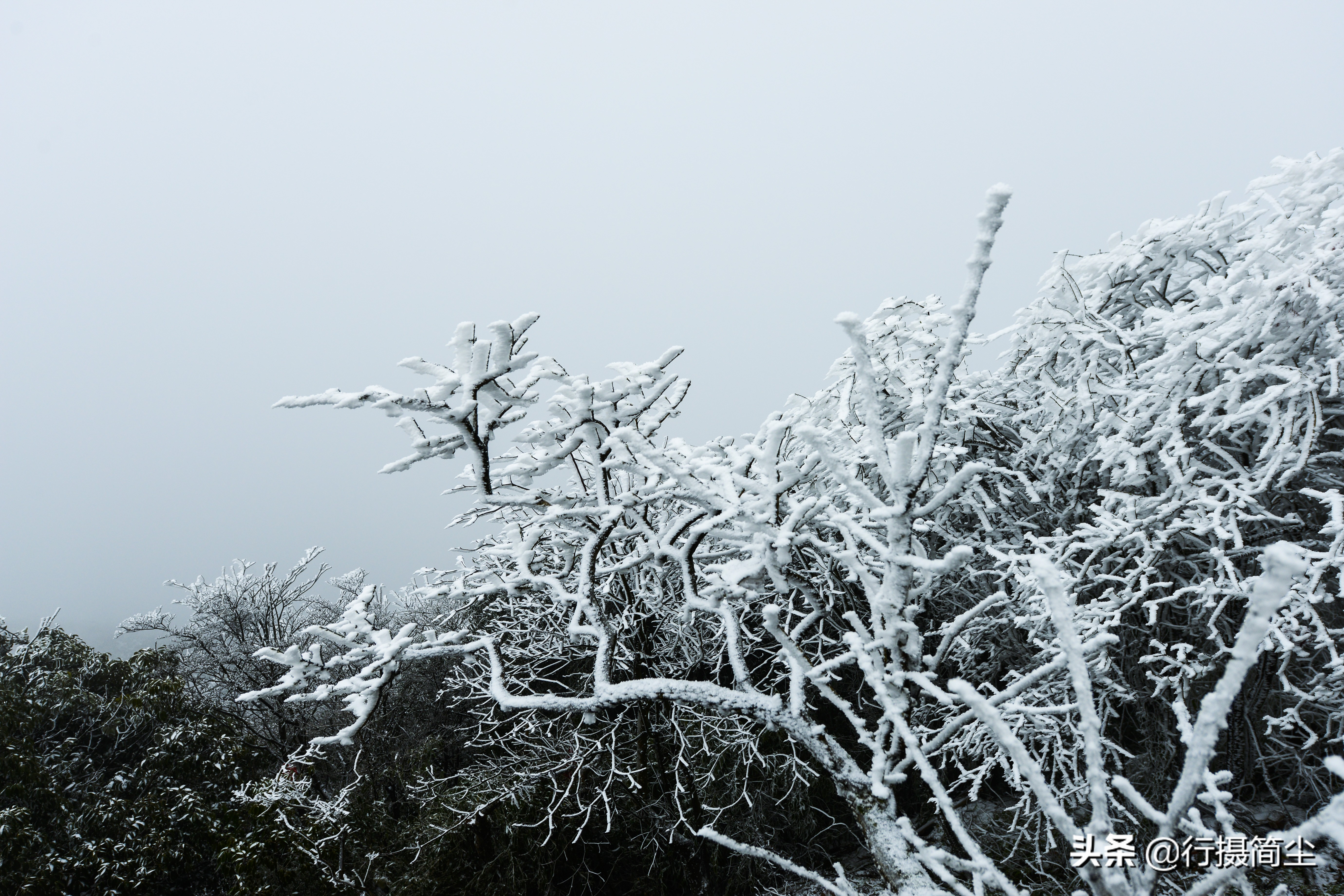 华蓥山宝鼎雪景航拍,华蓥山宝鼎冬天看日出