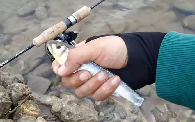 初学路亚应该准备哪些钓具,初学者路亚用什么钓具好