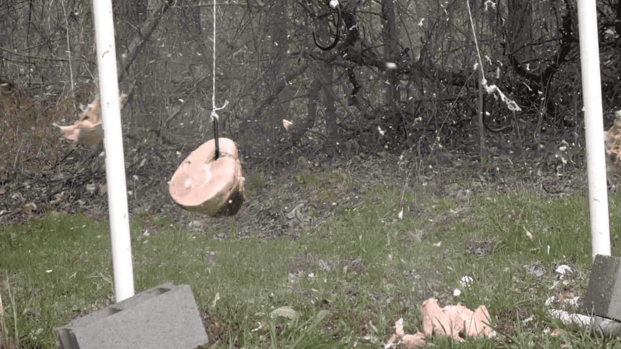 民用版的“巴雷特”，世界上最危险的步枪