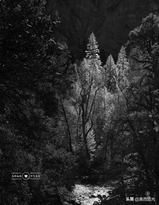 美国优山美地国家公园红杉树,美国优山美地国家公园攻略