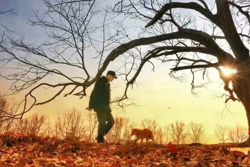 双节星空摄影作品欣赏,一组美丽的星空摄影作品