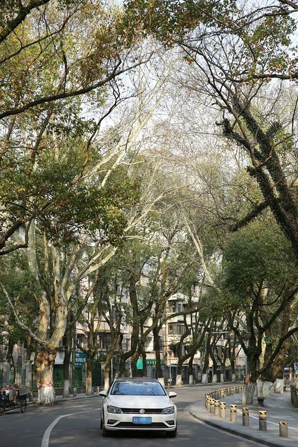 宁波奉化散心,奉化放松的地方