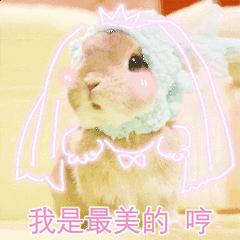 小米有品神器,小米有品黑科技美容仪