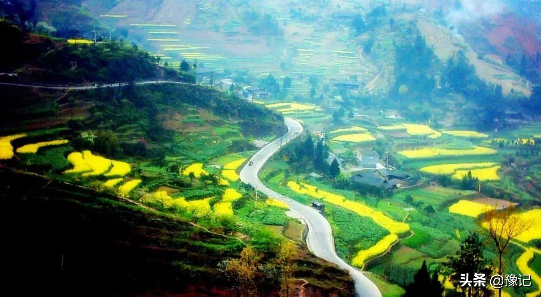 信阳毛尖栗香型和清香型哪个好喝,信阳毛尖茶叶怎么样好喝吗