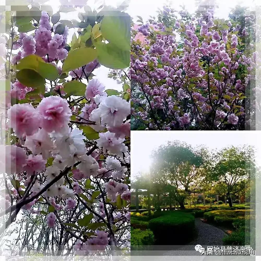 固始县慈济高中操场多大图,固始县慈济高中附近有啥好玩的