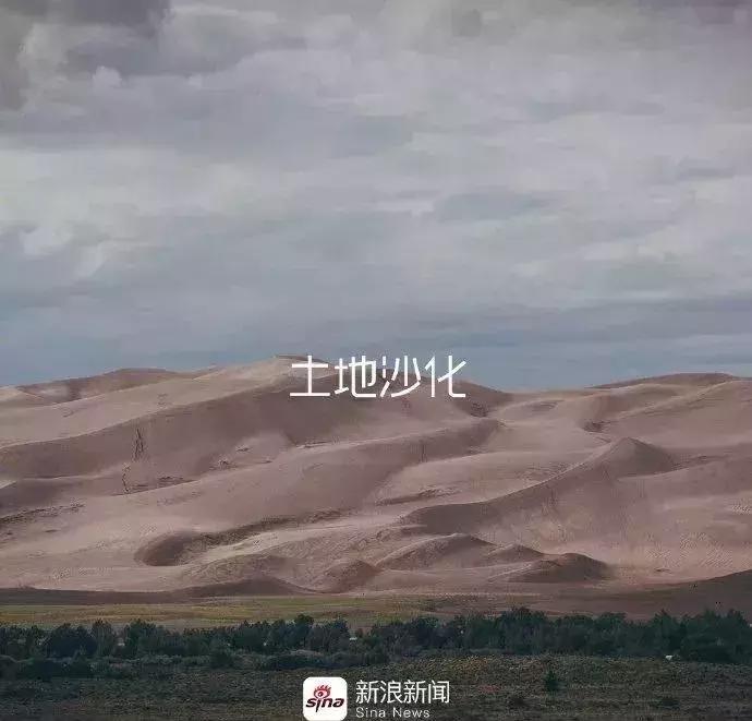 6招教你玩转新媒体营销,六月营销热点大全