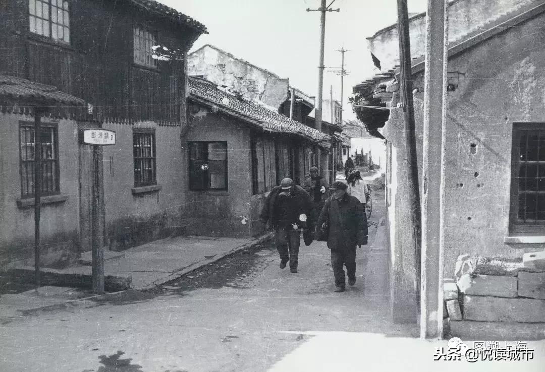 鎮﹁鍩庡競娴︿笢,鎮﹁鍩庡競