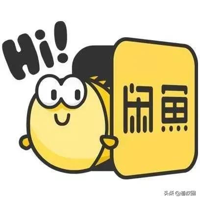 道叔视频,道叔全部视频