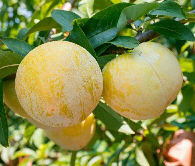 最容易被忽略的赚钱项目,穷人赚钱30个最冷门生意好项目