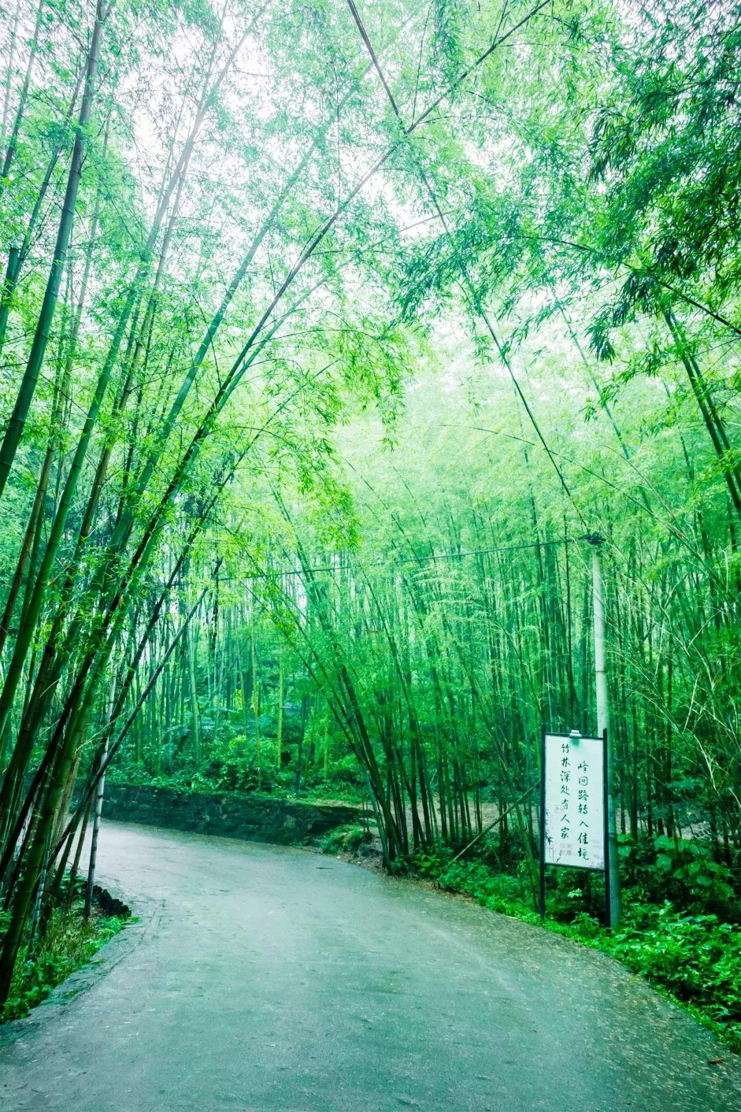 夏日清凉唯美诗词,100句美到窒息的夏日诗句