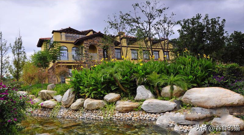 温泉山谷康养度假运营,山谷温泉度假民宿