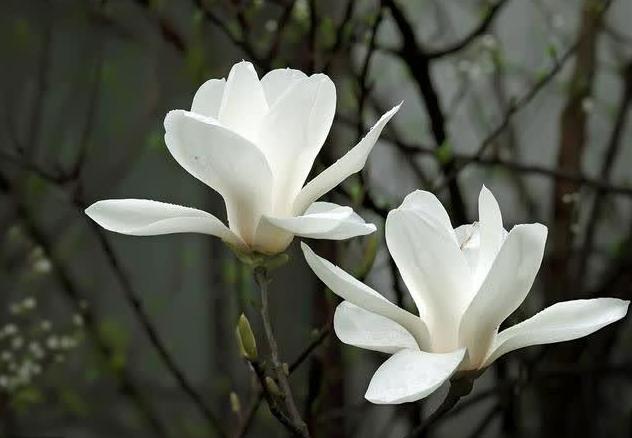 人到中年最好的活法是学会做减法,70后的人活得太累了