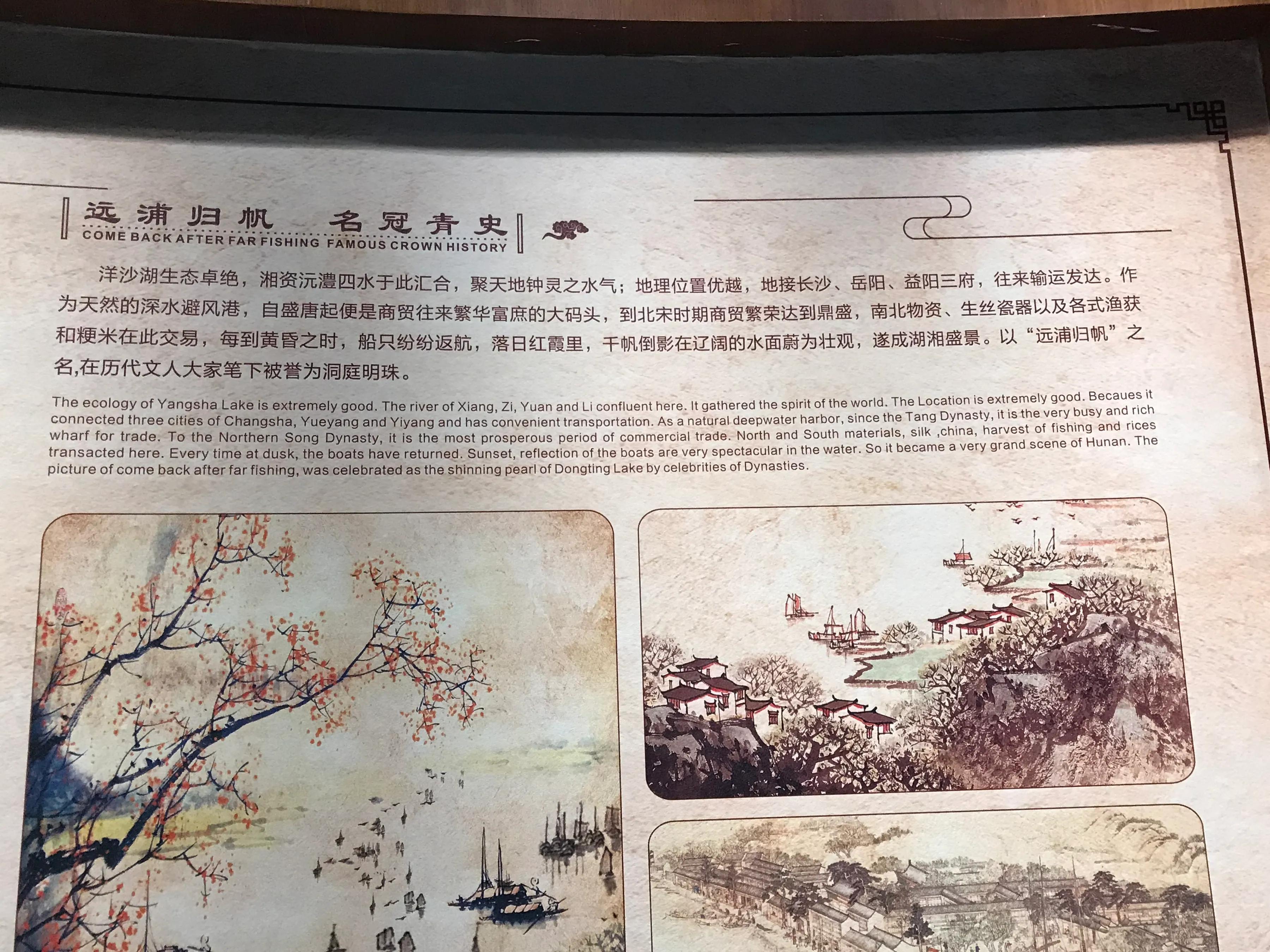 洋沙湖湿地公园游记,洋沙湖游记作文