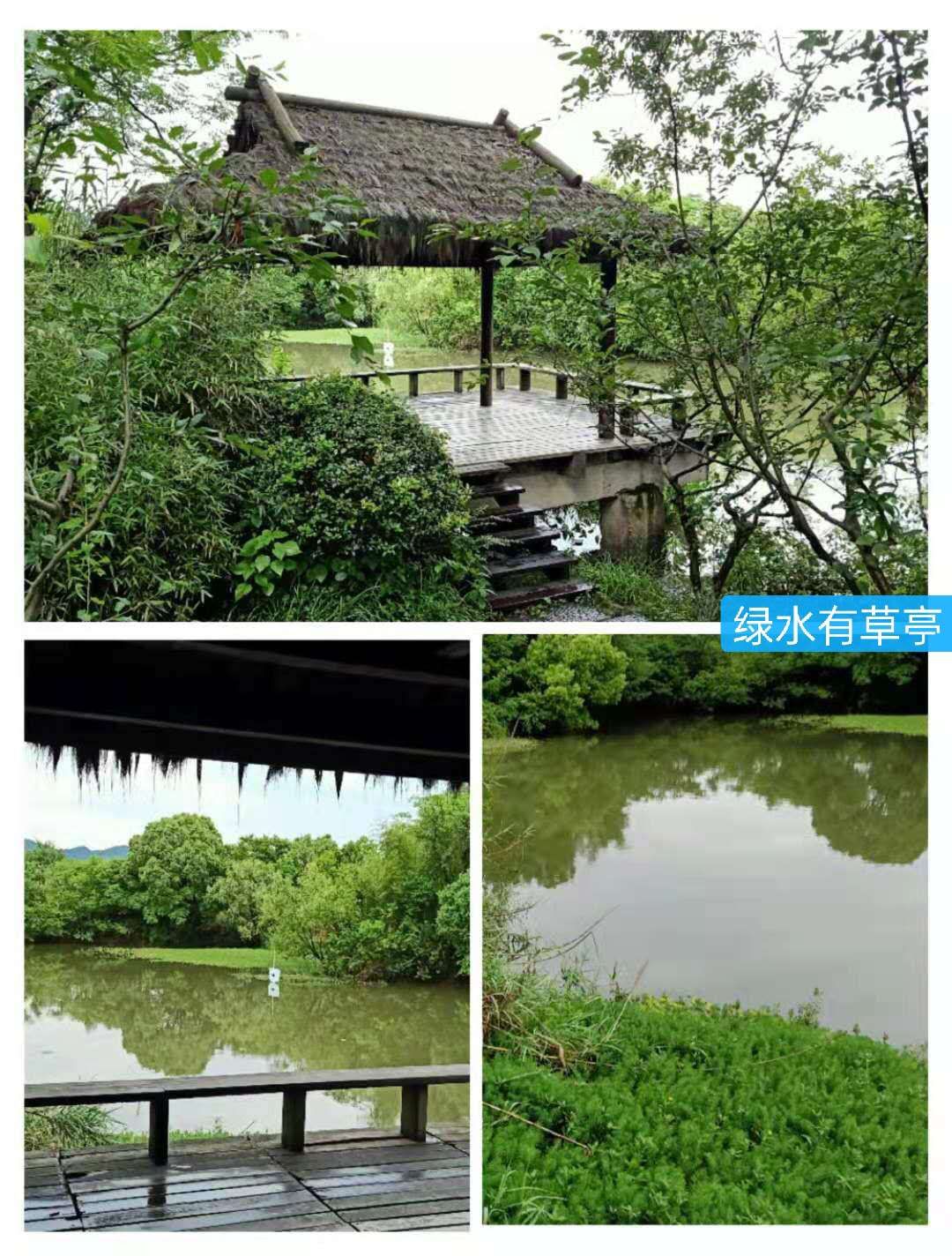 文化源远,三:水中寺庵？秋雪四面环水似孤岛蒋村二客夜走秋雪庵