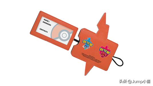 宝可梦有必要买剑盾两个版本吗,宝可梦剑盾必买的10件事