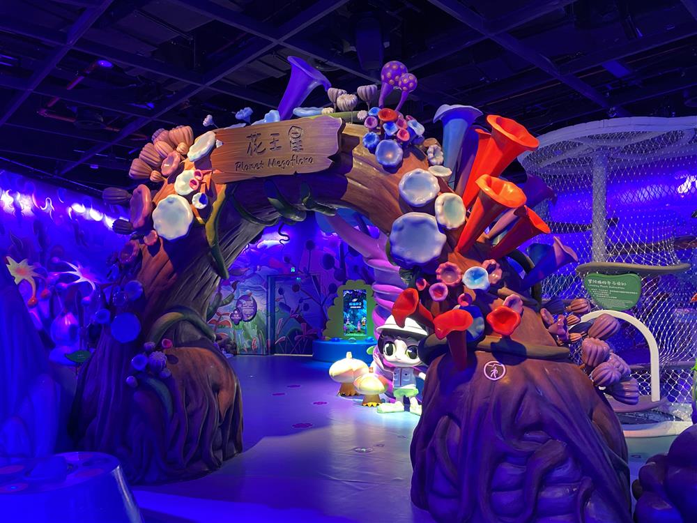 上海地标网红打卡地原视频,上海打卡网红地星空