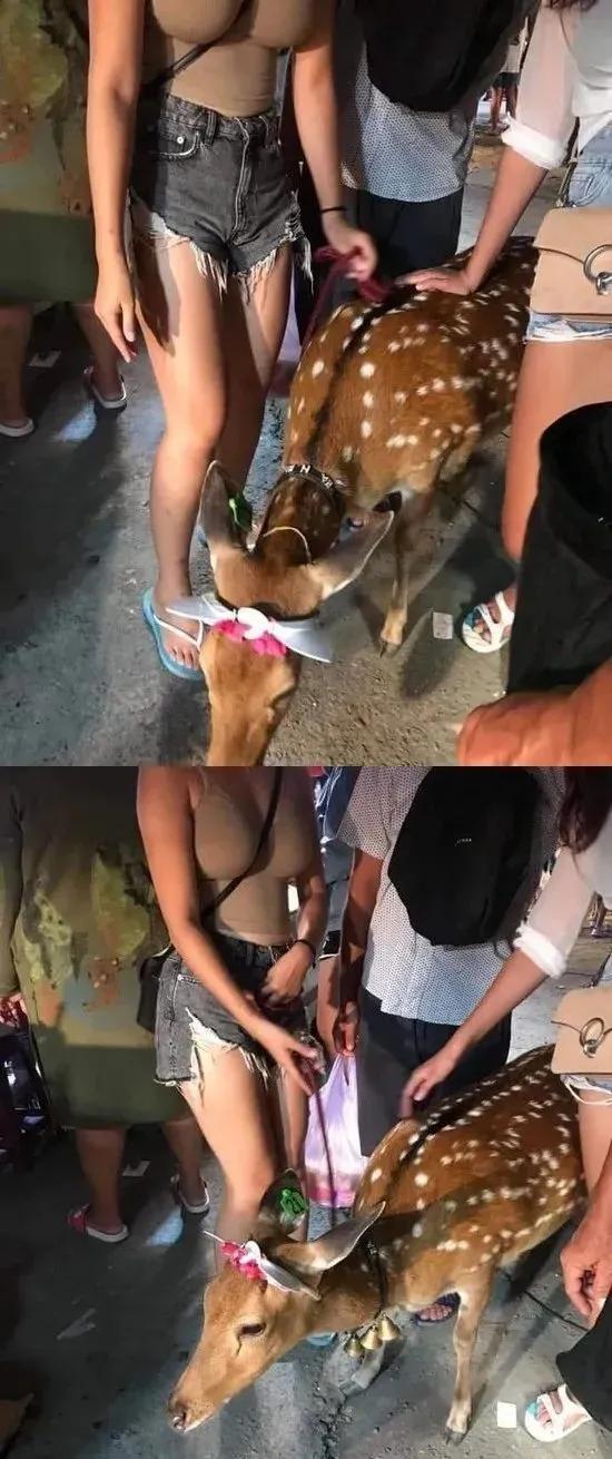 掘了！利指导7分钟连砍22分都输，表坏了谁顶得住