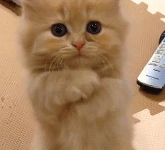 儿童鼻腺样体肥大几岁手术最佳,沈阳腺样体肥大手术哪家医院好