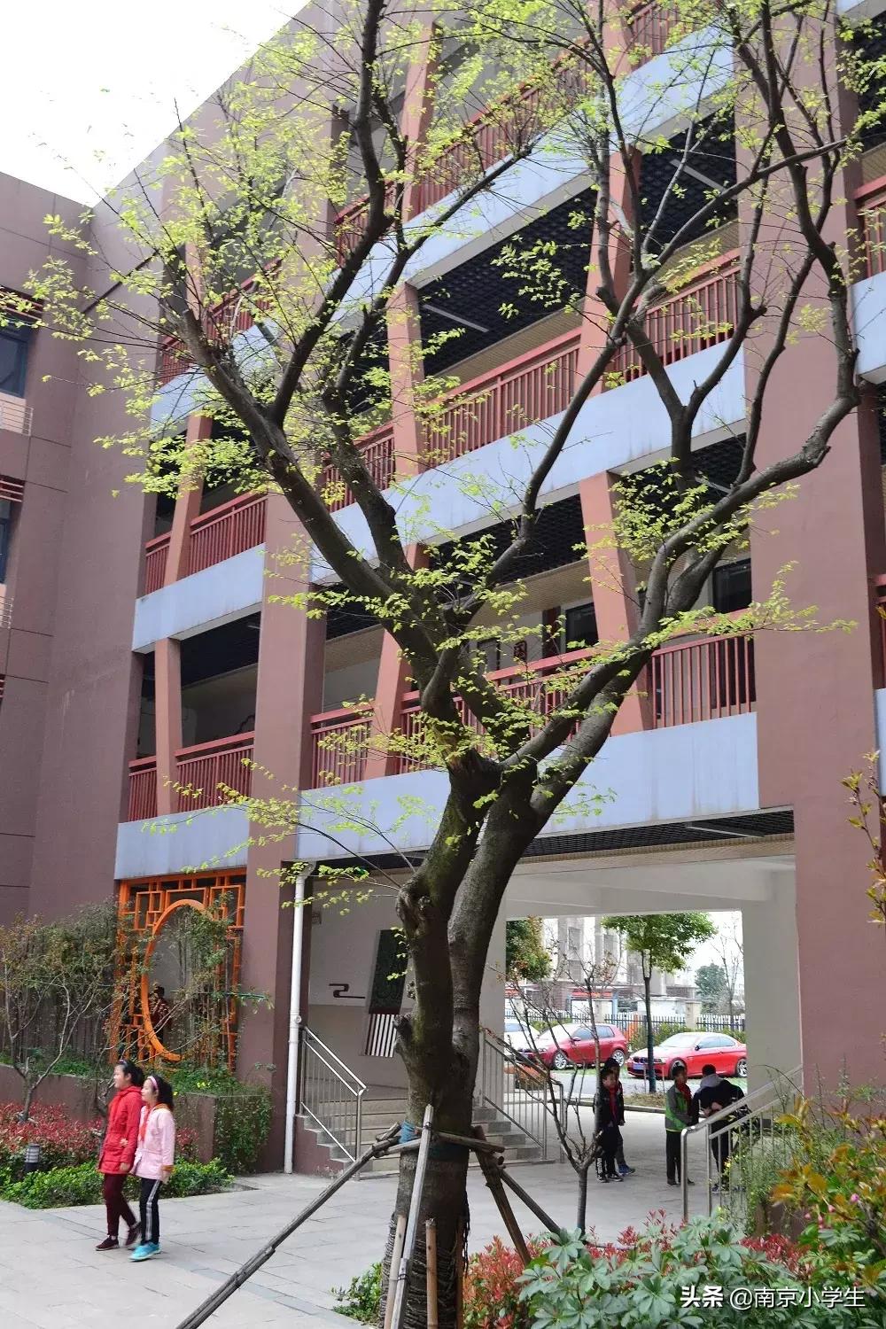 春和景明少年时,古雄小学2021年新生