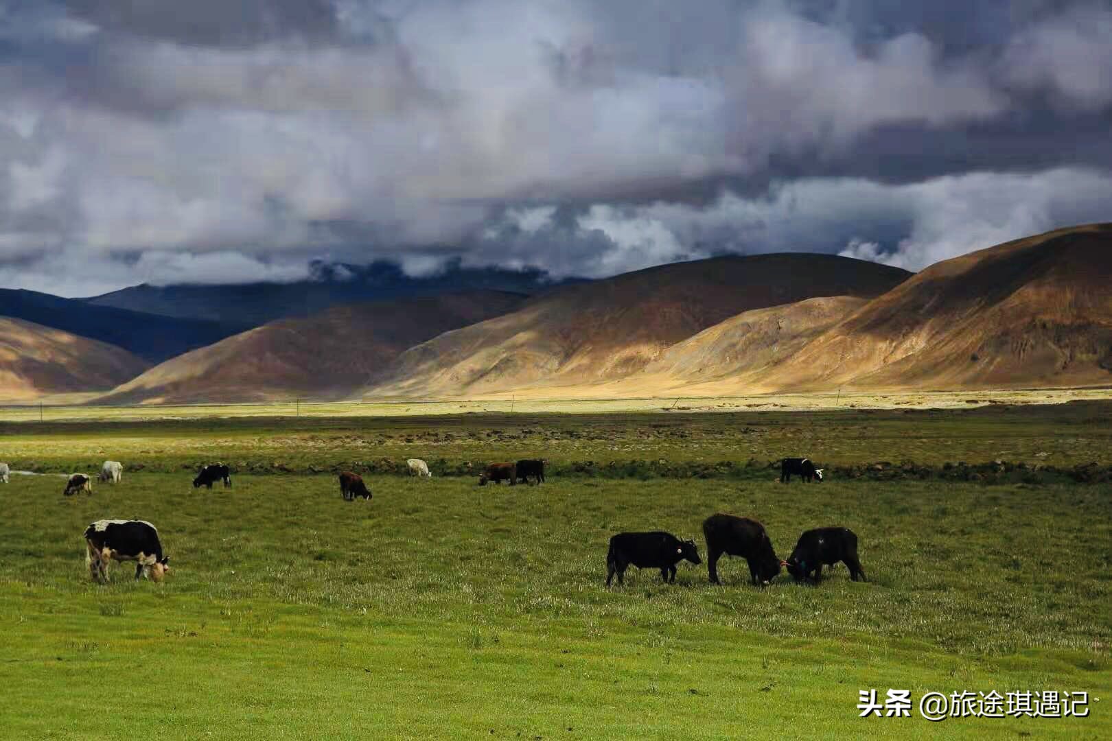 去北疆好还是南疆好,去新疆的南疆注意什么事项