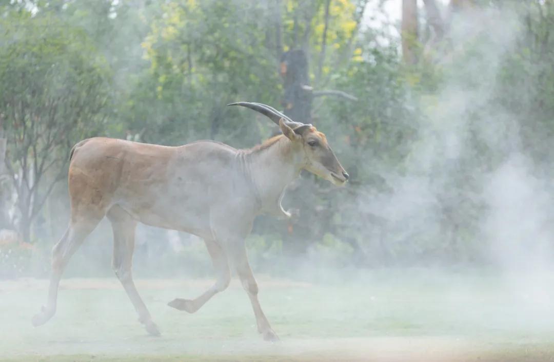 野生动物王国值不值得去,北方新开的动物王国