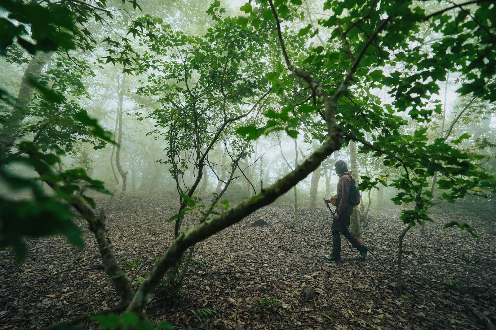 登山鞋女徒步鞋,登山鞋女跑步