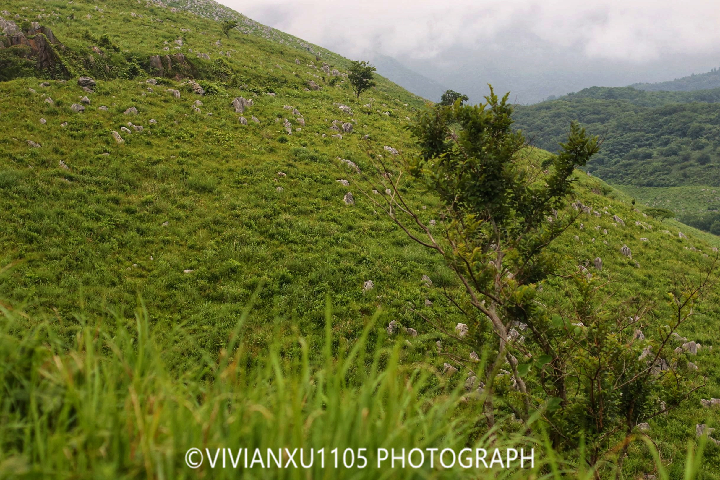 日本下关和广岛,发现不一样的风景