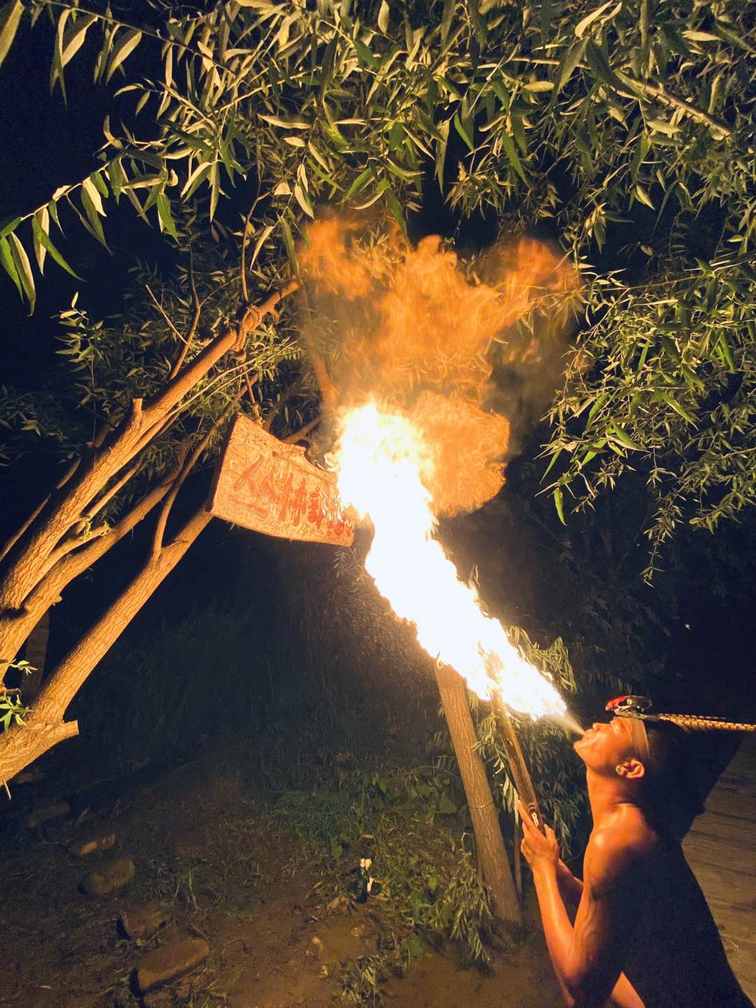 井陉豌豆农庄视频,河北省井陉县豌豆农庄