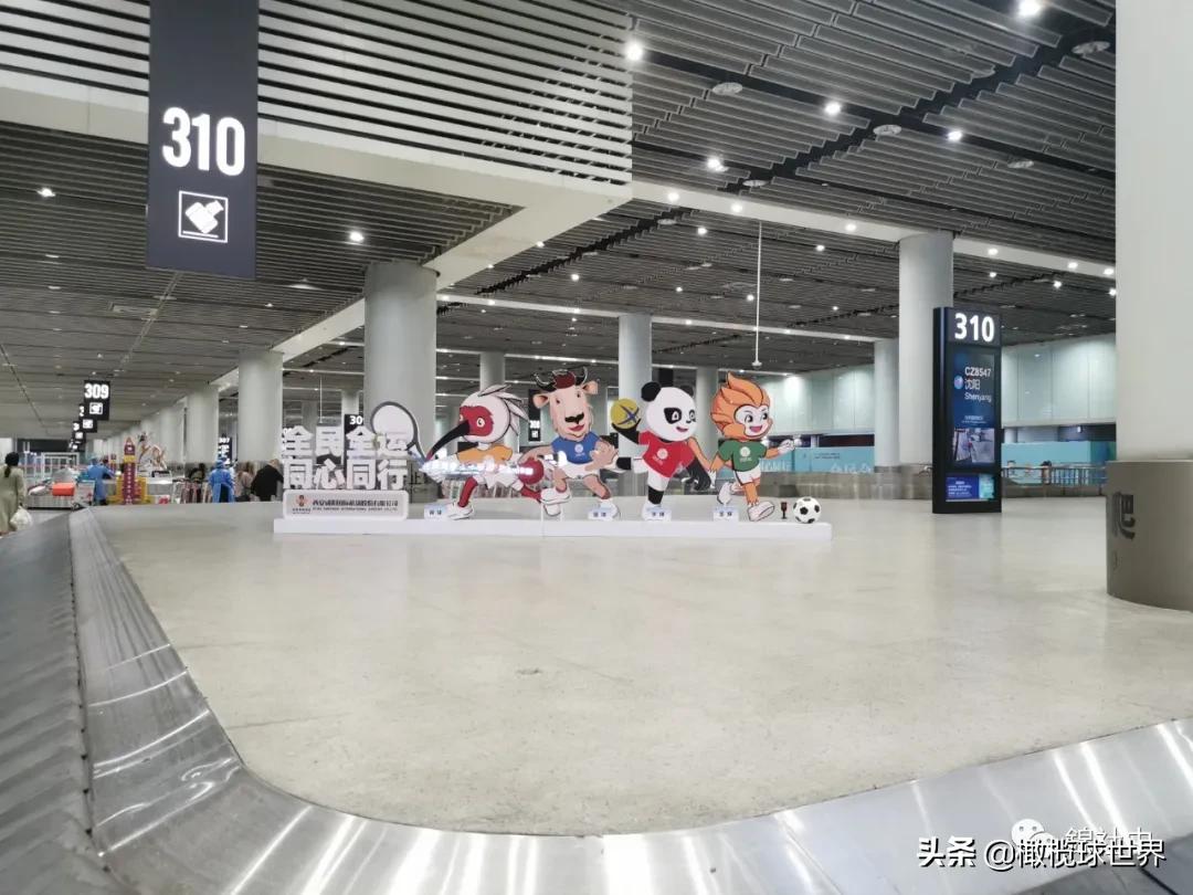 我和我的体育故事,我和橄榄球的故事