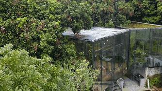 组队去火爆的玻璃屋民宿，星空下围炉火锅烧烤，唱k麻将，放烟花