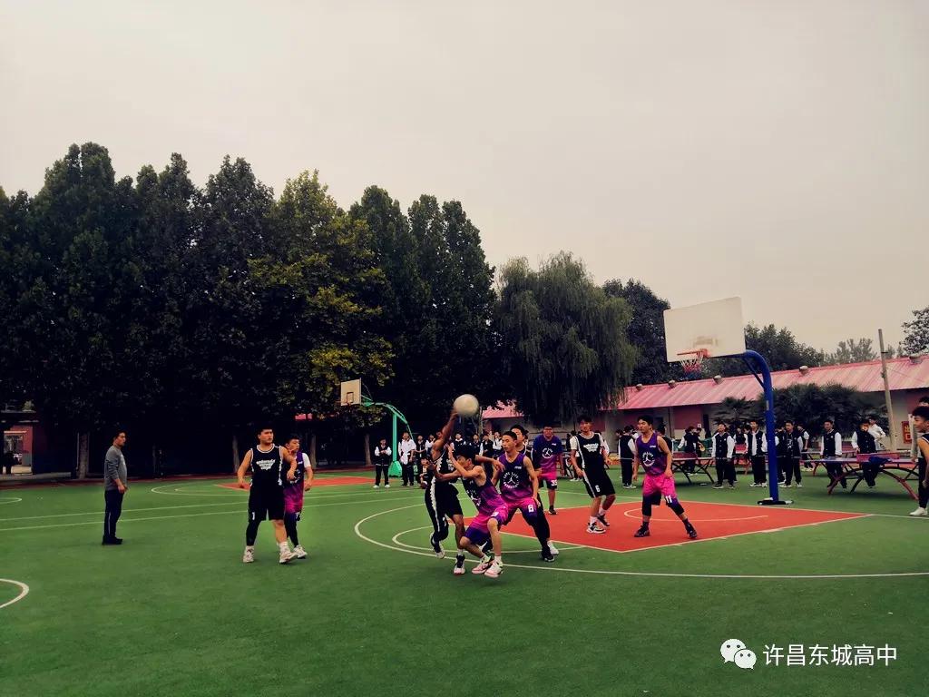 青春梦飞扬篮球比赛视频,正青春梦飞扬大泽山