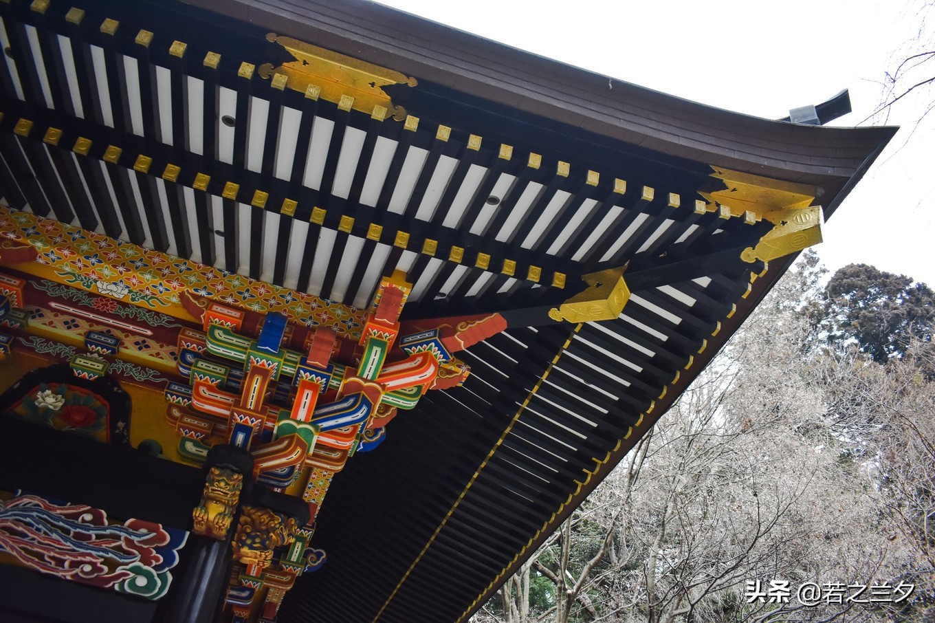 去日本仙台的攻略,日本仙台县旅游详细攻略