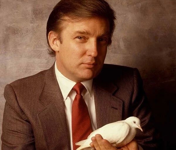 特朗普前期的家,特朗普的房地产生意