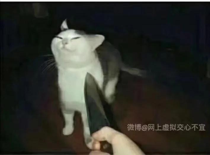 搞笑：黑客：遇到高手了，我刚刚进去就被T出来了