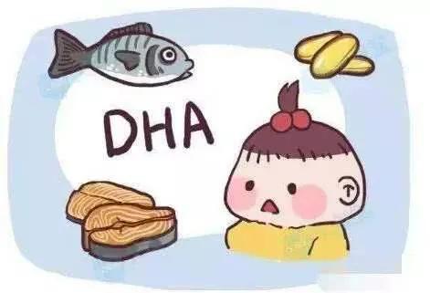 小学生吃dha好处,dha藻油粉的好处
