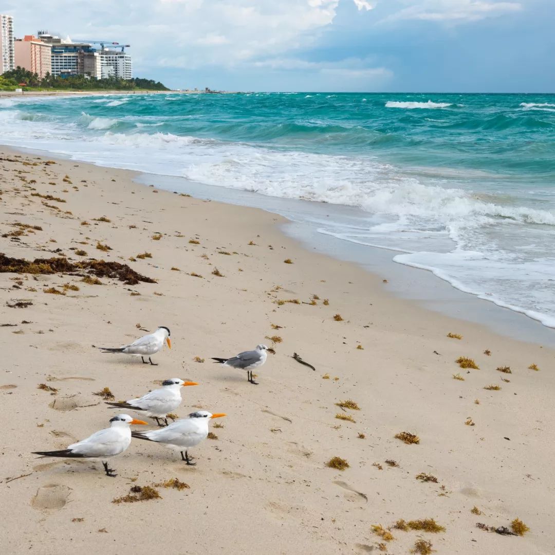 世界最美50座岛屿,中国最美十大海岛排名
