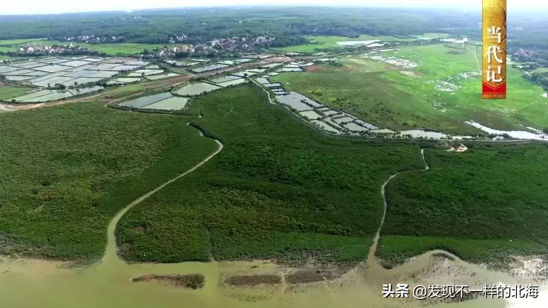 广西合浦是怎么样的？央视是这样全方位介绍这美丽的珠乡的