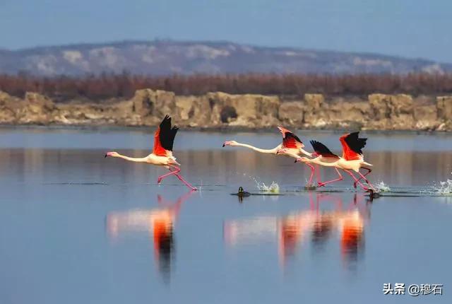 鏄槑绂呭浣忔寔,鏄槑绂呭淇