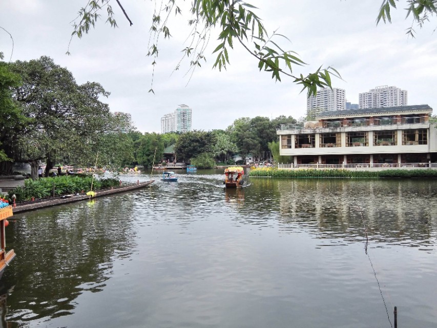 一池荷叶碧两岸荔枝红的意思,一湾湖水绿两岸荔枝红