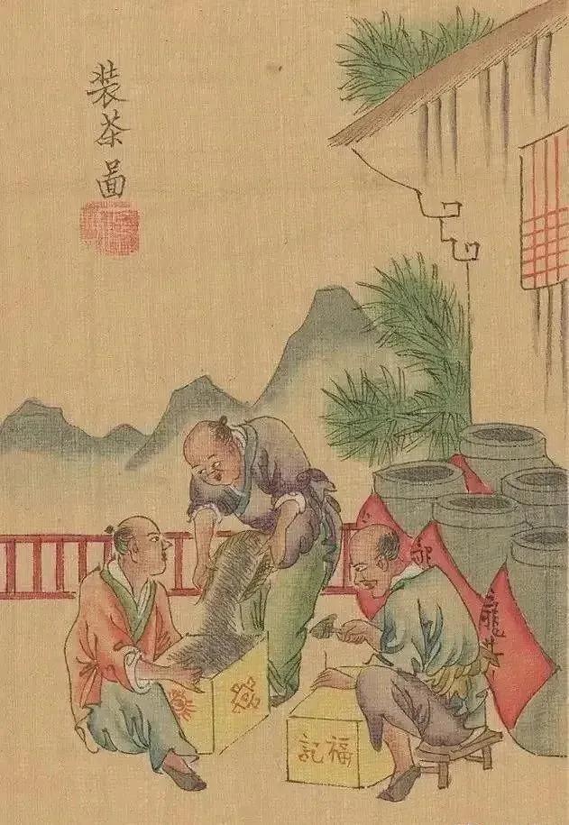 凤凰制茶工艺流程,大红袍制茶工艺流程