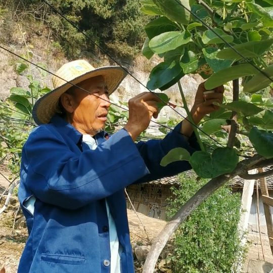 70岁以上农民借钱,60岁农民有什么贷款可以借