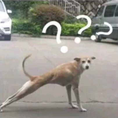 初来日本去哪里买生活用品划算,刚去日本买家电