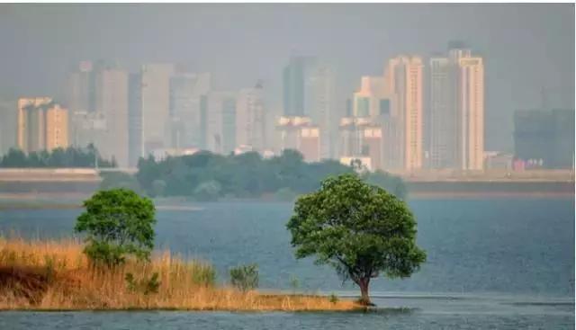 合肥春节免费门票景点,合肥哪些景点过年不要门票
